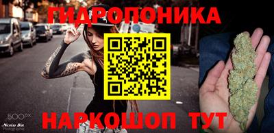 хмурый Малоярославец