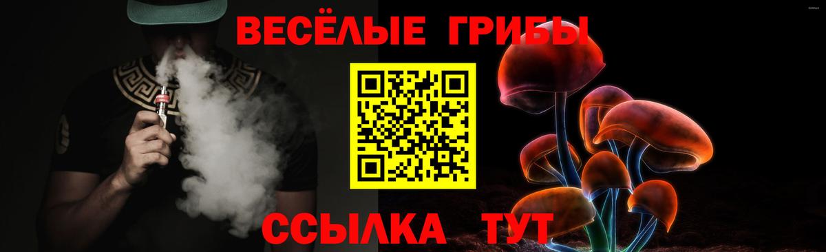 Псилоцибиновые грибы мухоморы  продажа наркотиков  Волгоград  Галлюциногенные грибы Psilocybe  Вход с VPN 