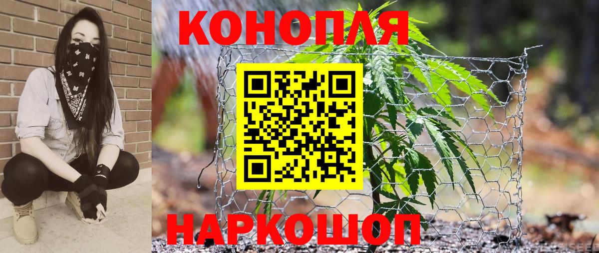 Каннабис индика Волгоград